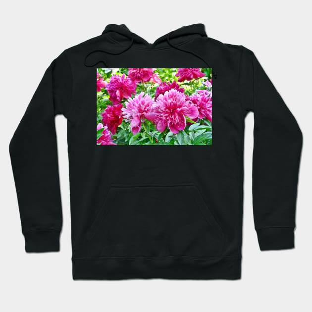 The Peonies Of Luoyang Hoodie by AlexaZari